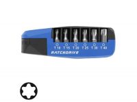 Набор бит с битодержателем WITTE RATCHDRIVE INDUSTRIE T10-40/держатель/трещетка арт. 251022000